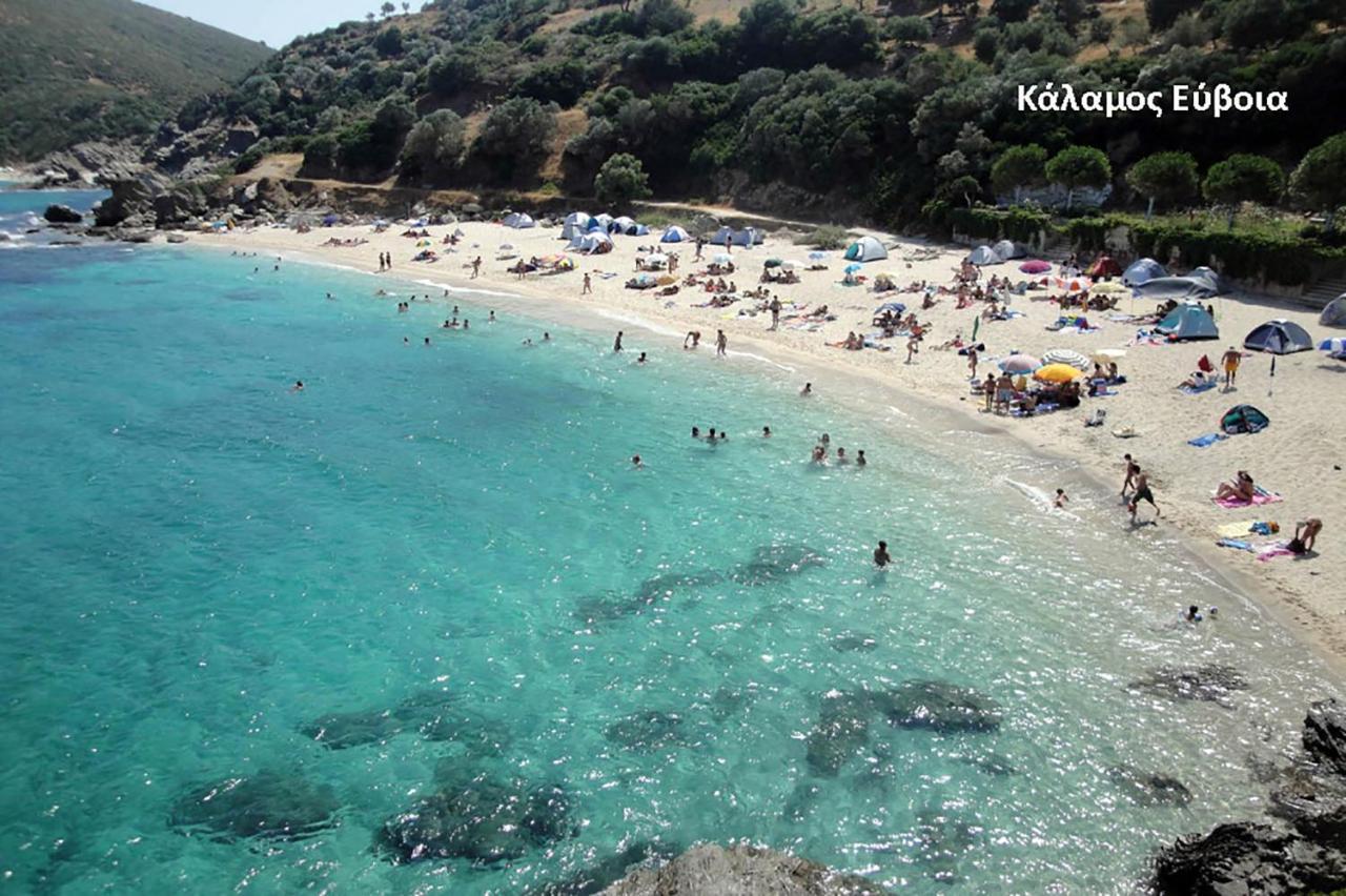 Fabulous Central Apartment Close To The Sea! Chalkís 外观 照片