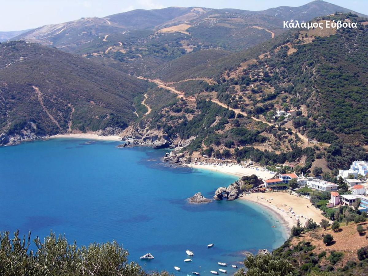 Fabulous Central Apartment Close To The Sea! Chalkís 外观 照片